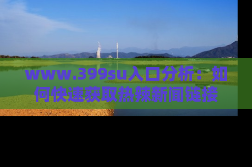 www.399su入口分析:如何快速获取热辣新闻链接