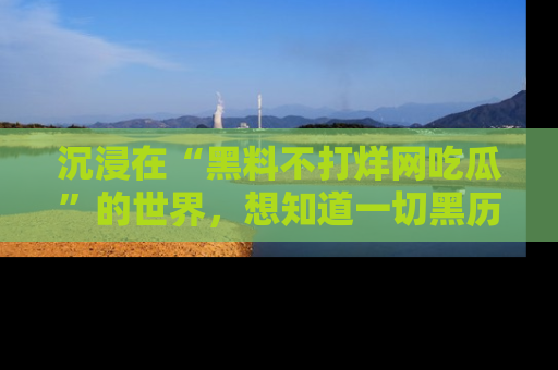 沉浸在“黑料不打烊网吃瓜”的世界,想知道一切黑历史与内幕信息的网站!