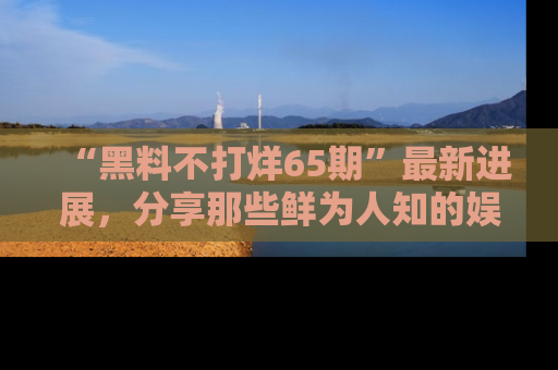 “黑料不打烊65期”最新进展,分享那些鲜为人知的娱乐八卦