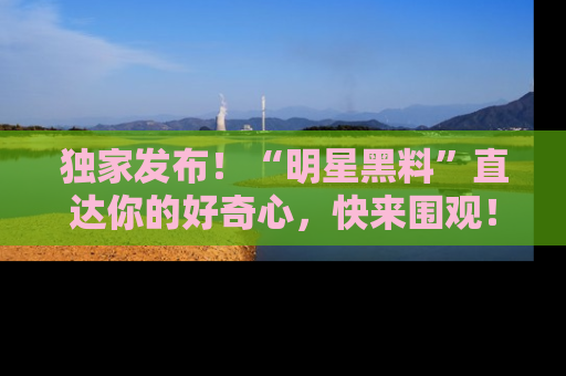 独家发布！“明星黑料”直达你的好奇心，快来围观！