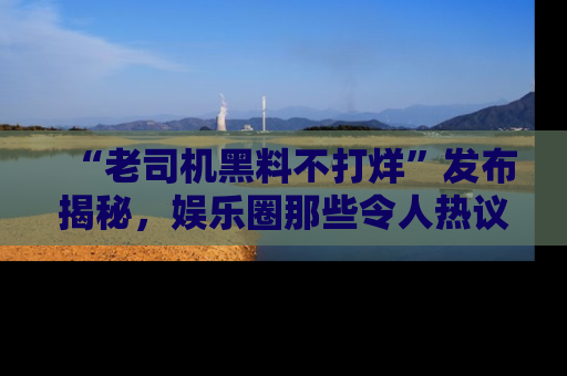 “老司机黑料不打烊”发布揭秘,娱乐圈那些令人热议的黑暗秘密!