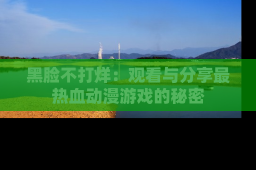 黑脸不打烊：观看与分享最热血动漫游戏的秘密