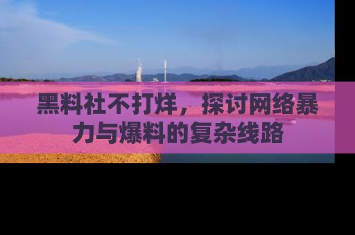 黑料社不打烊，探讨网络暴力与爆料的复杂线路