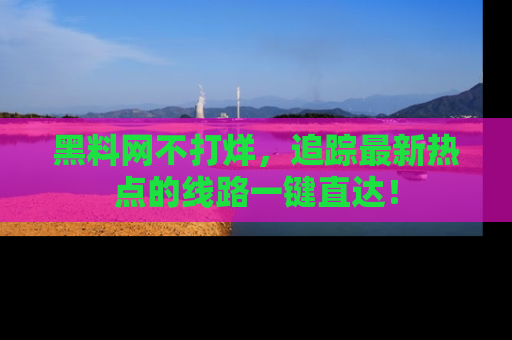 黑料网不打烊，追踪最新热点的线路一键直达！