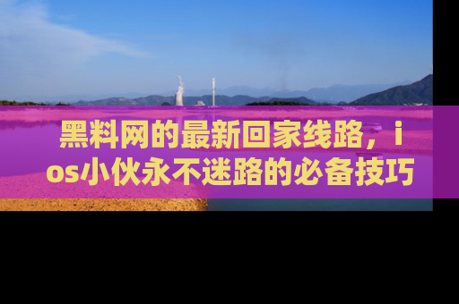 黑料网的最新回家线路，ios小伙永不迷路的必备技巧！