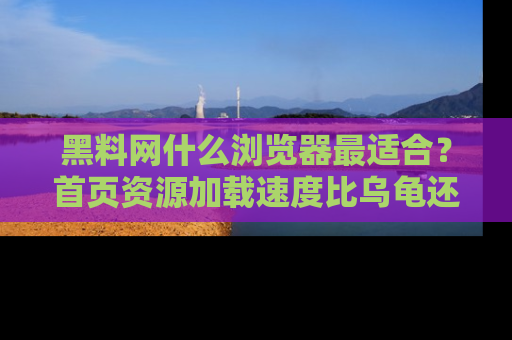 黑料网什么浏览器最适合？首页资源加载速度比乌龟还慢的体验真心吐槽！