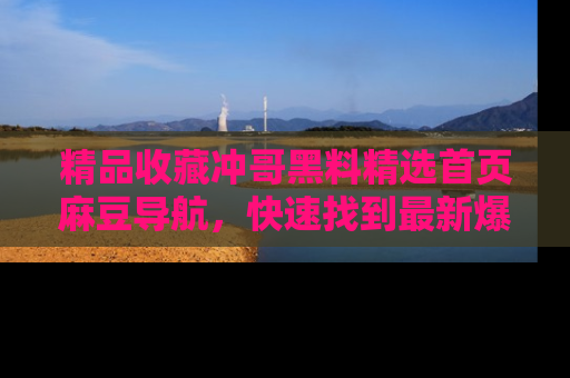 精品收藏冲哥黑料精选首页麻豆导航，快速找到最新爆料