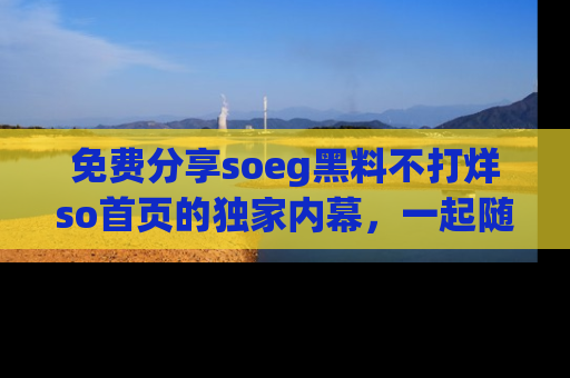 免费分享soeg黑料不打烊so首页的独家内幕,一起随时吃瓜吧!