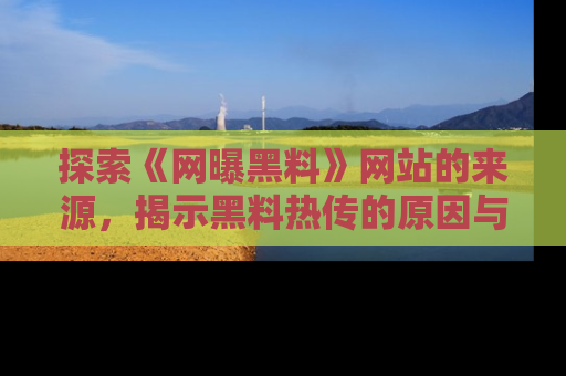探索《网曝黑料》网站的来源,揭示黑料热传的原因与影响