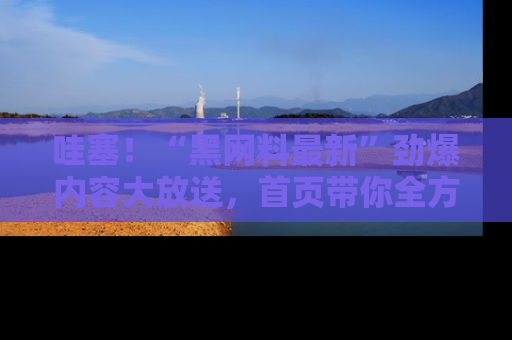 哇塞！“黑网料最新”劲爆内容大放送，首页带你全方位了解哦，小可爱们