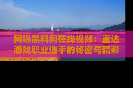 网曝黑料网在线视频：直达游戏职业选手的秘密与精彩动漫片段！