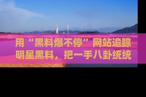 用“黑料爆不停”网站追踪明星黑料,把一手八卦统统收进你的后宫中!