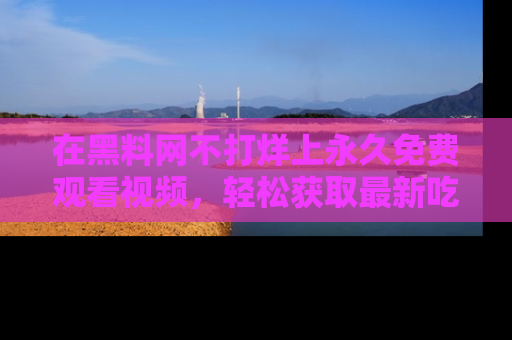 在黑料网不打烊上永久免费观看视频,轻松获取最新吃瓜资讯!