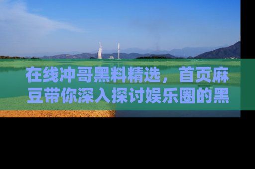 在线冲哥黑料精选，首页麻豆带你深入探讨娱乐圈的黑暗面