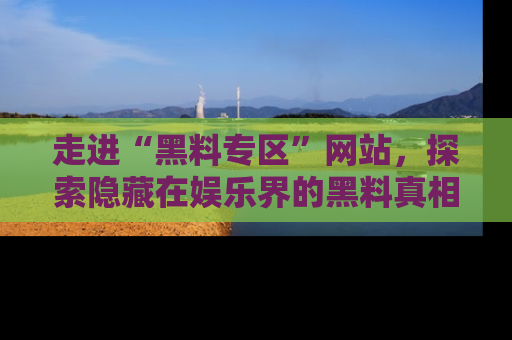 走进“黑料专区”网站,探索隐藏在娱乐界的黑料真相